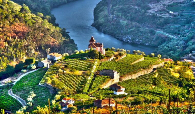 douro-valley-private-tour-with-2-wine-tastings