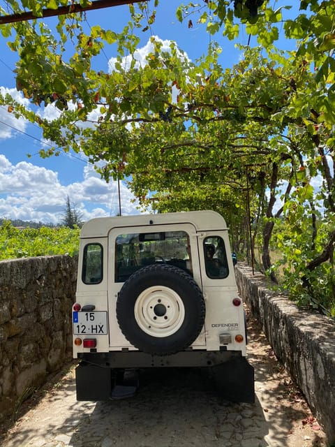 douro-valley-wine-safari-with-wine-tastings-and-lunch