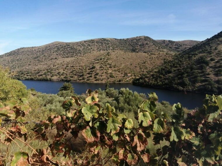douro-valley-wine-tour-with-traditional-lunch