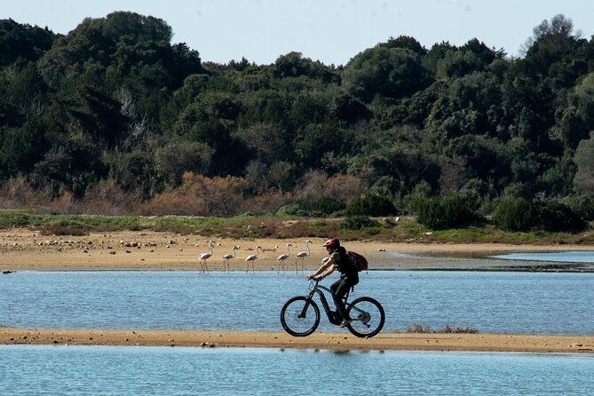 e-bike-navarino-trail