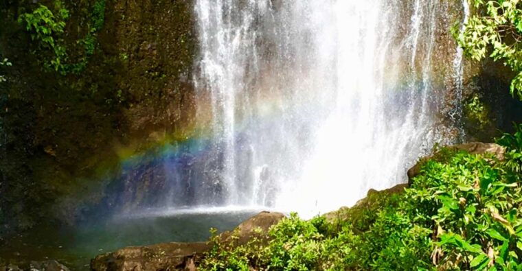 east-maui-private-rainforest-or-road-to-hana-loop-tour
