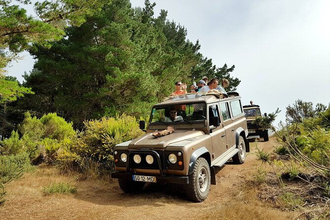 eastern-madeira-sustainable-tour-in-a-4x4-with-lunch