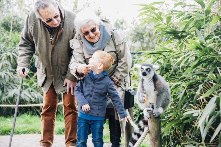 eindhoven-zoo-entry-ticket
