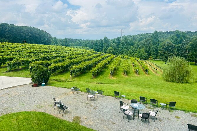 elijay-three-vineyards-private-wine-tasting-tour-from-atlanta