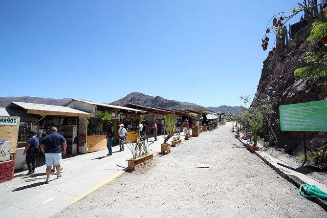 elqui-valley-cruise-excursion-in-coquimbo