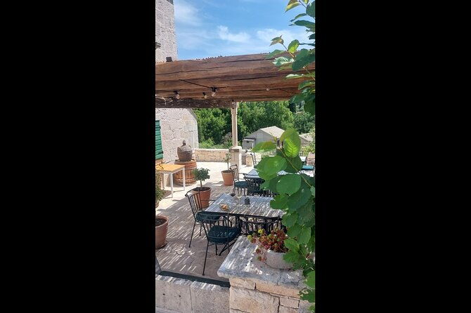 enchanted-forest-hike-and-wine-tasting-private-tour