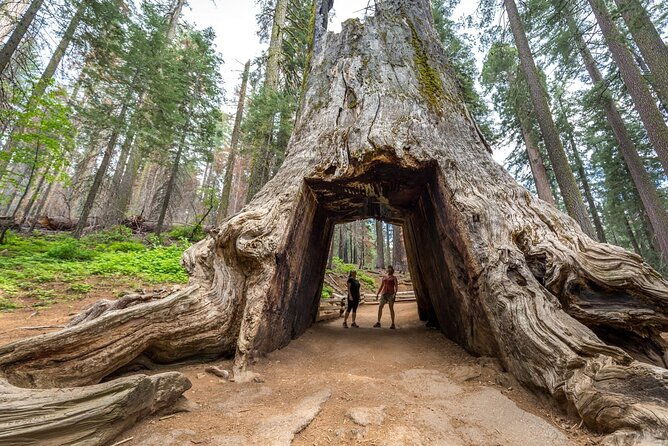 enchanting-yosemite-national-park-tour-from-san-francisco