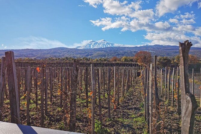 etna-and-wine-adventure-and-tasting-between-craters-and-cellars
