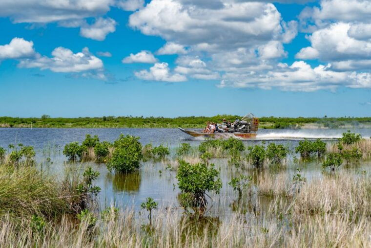 everglades-city-guided-kayaking-tour-with-and-airboat-ride