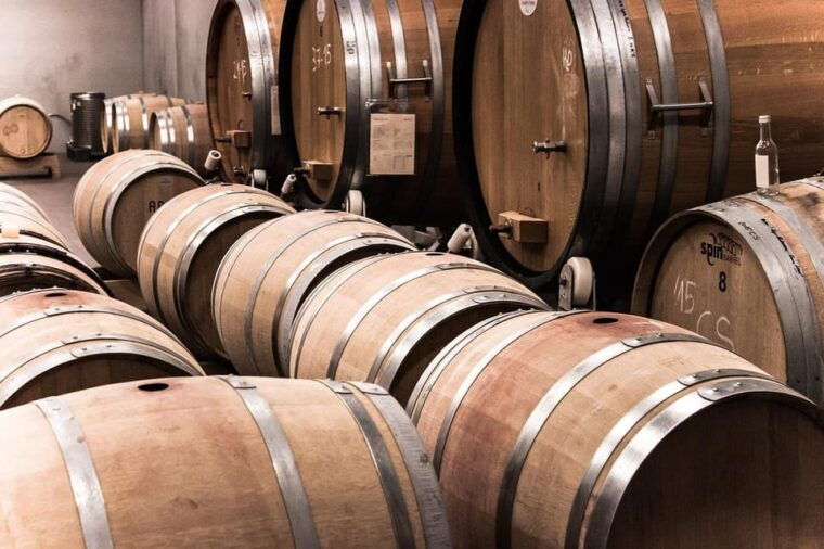 exclusive-wine-tour-sardinian-winery-round-trip-transfer