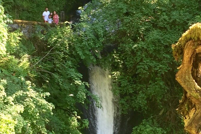 explore-columbia-river-gorge-half-day-small-group-hiking-tour