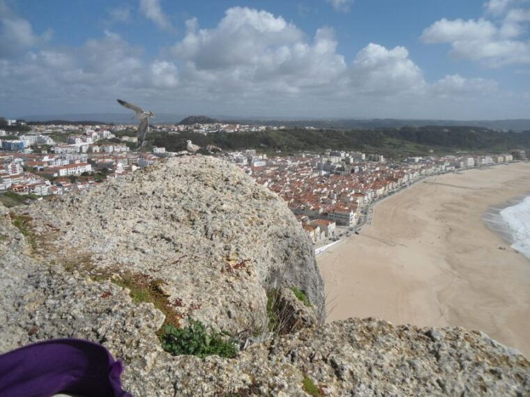 fatima-batalha-alcobaca-nazare-and-obidos-private-tour-2