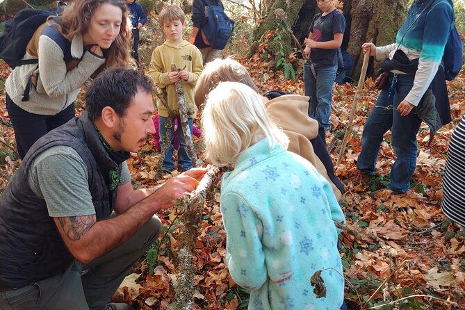 foraging-tour-of-edible-plants-and-mushrooms-in-brinnon