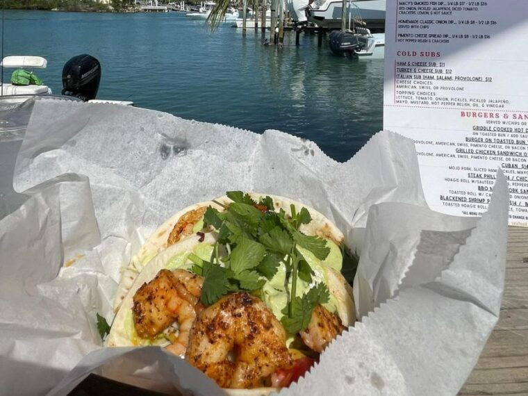 fort-pierce-8-hr-jungle-and-lagoon-passage-to-ocean-in-fl