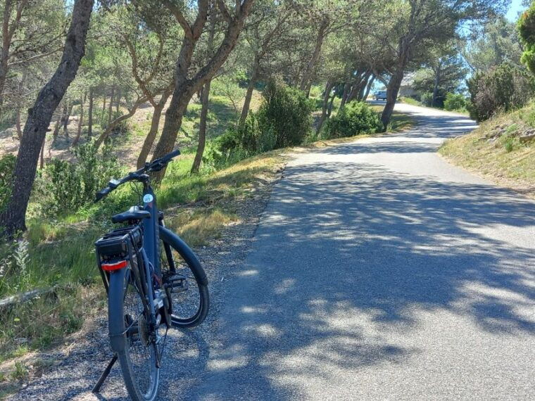 from-aix-en-provence-luberon-region-e-bike-full-day-tour