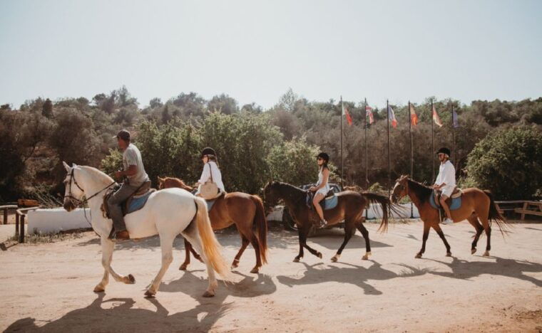 from-albufeira-half-day-hidden-gems-horse-riding-tour-2