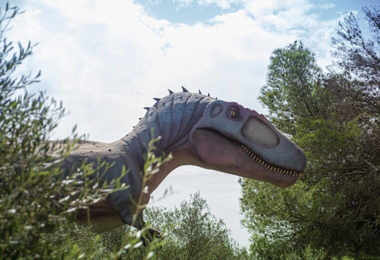 from-alcudia-dinosaurland-and-hams-caves-half-day-trip