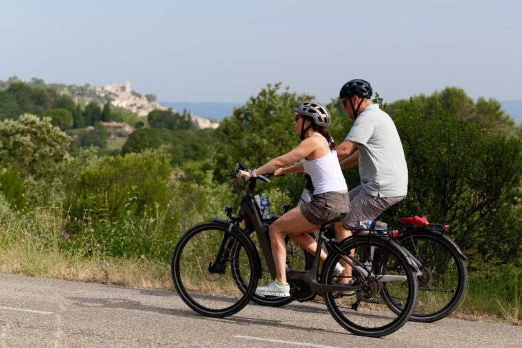 from-avignon-full-day-e-bike-tour-in-the-luberon-region