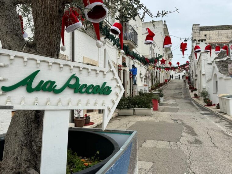 from-bari-alberobello-half-day-trip-with-guided-tour