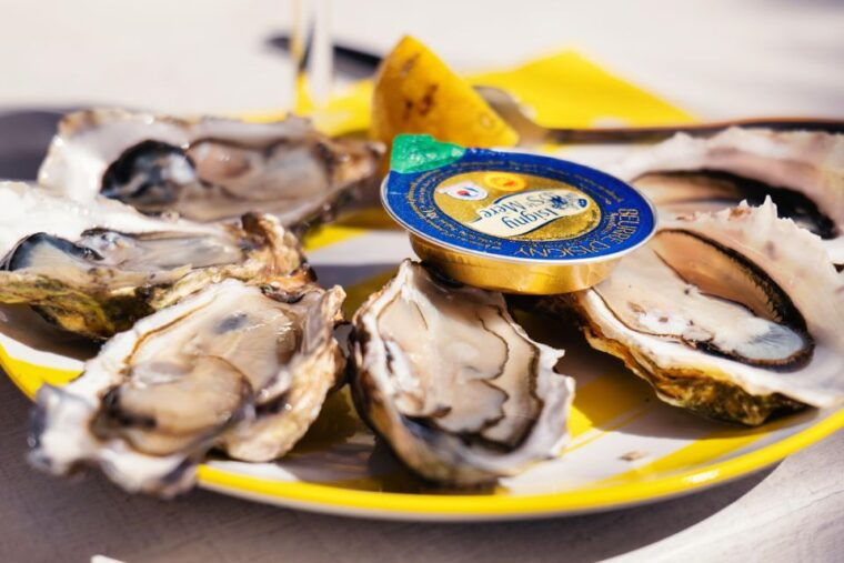 from-bordeaux-arcachon-bay-full-day-tour-and-oyster-lunch