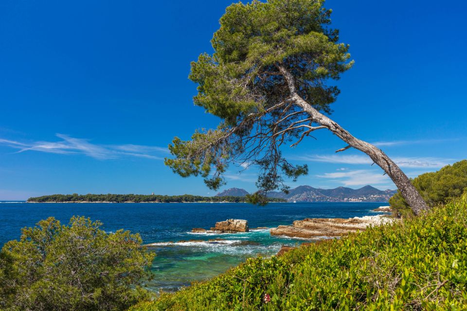 from-cannes-round-trip-ferry-to-ste-marguerite-island