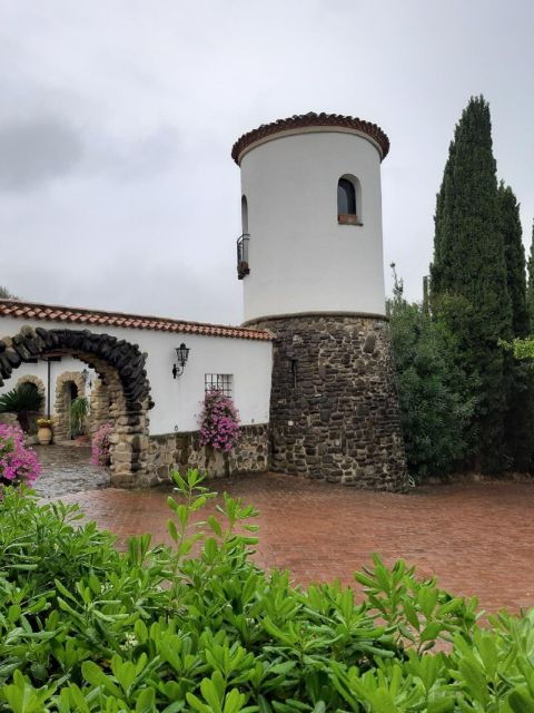 from-castellabate-food-tour-in-cilento-national-park