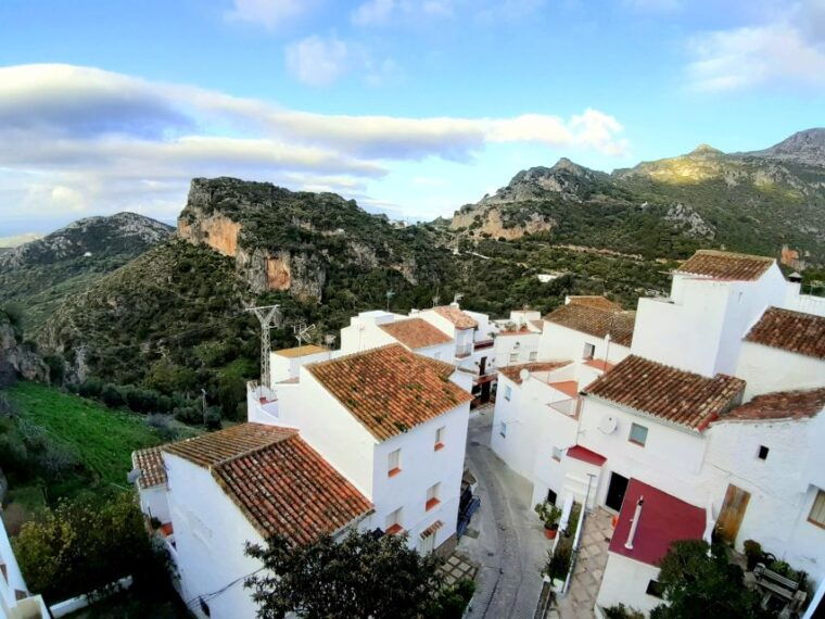 from-costa-del-sol-casares-private-tour