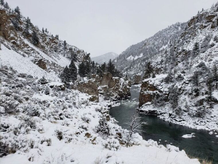 from-gardiner-yellowstone-national-park-snowshoe-tour