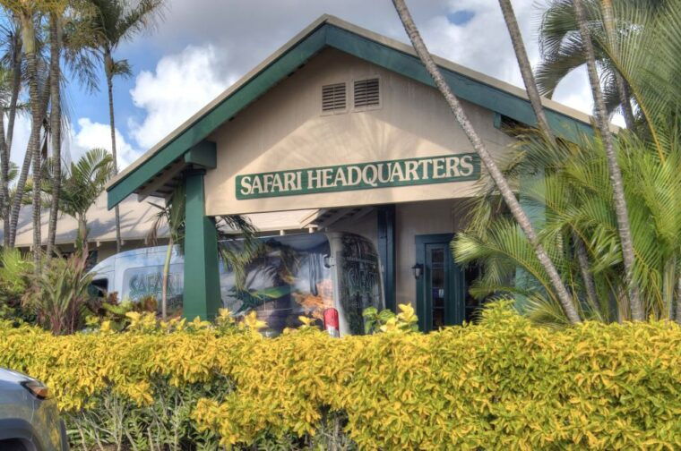 from-lihue-kauai-sightseeing-helicopter-flight