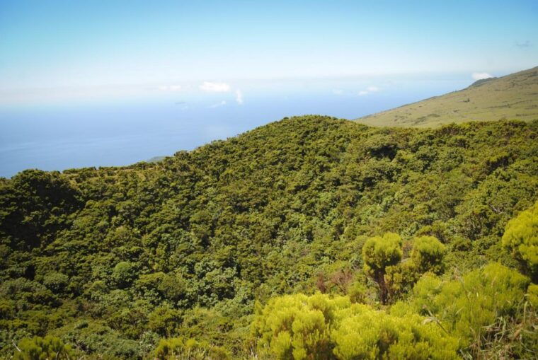 from-madalena-pico-volcanoes-and-lakes-guided-day-tour
