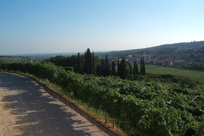 from-milan-to-venice-through-the-amarone-region-lunch-verona