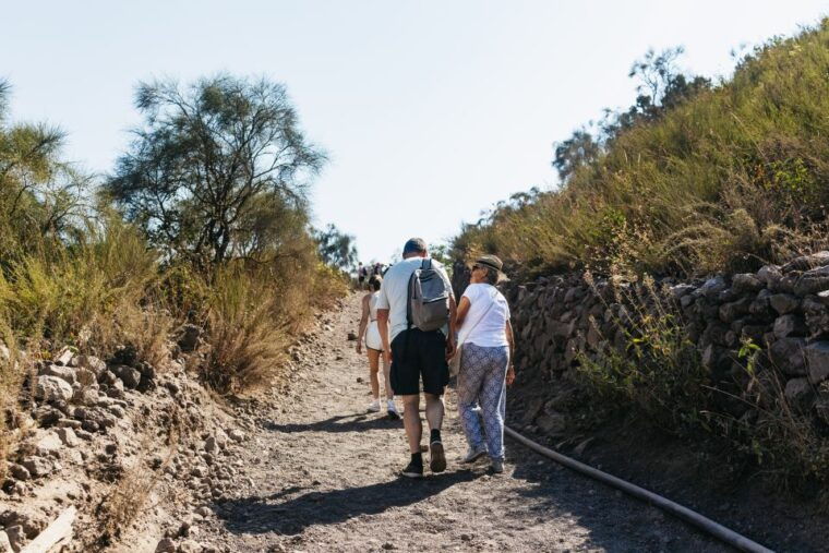 from-naples-all-inclusive-mount-vesuvius-half-day-tour