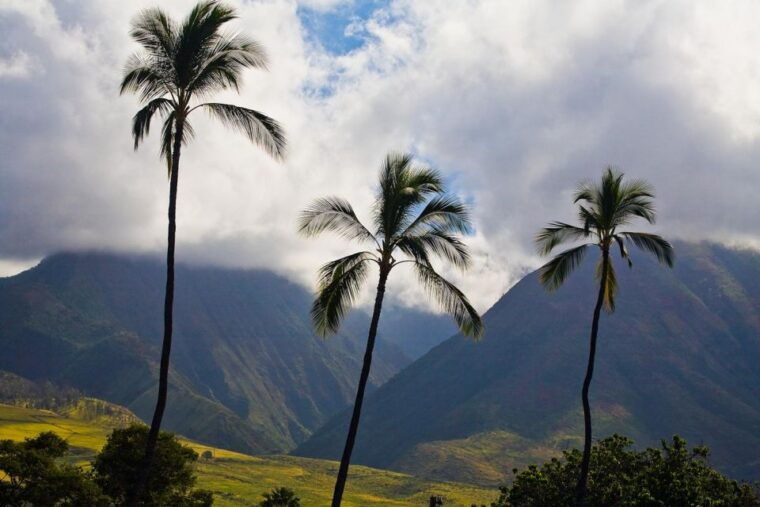 from-oahu-best-of-maui-haleakala-sips-sites-bites