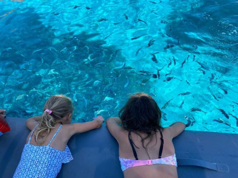 from-palau-corsican-archipelago-half-day-rib-boat-trip