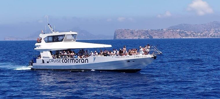 from-palma-3-hour-morning-dolphin-watching-boat-tour