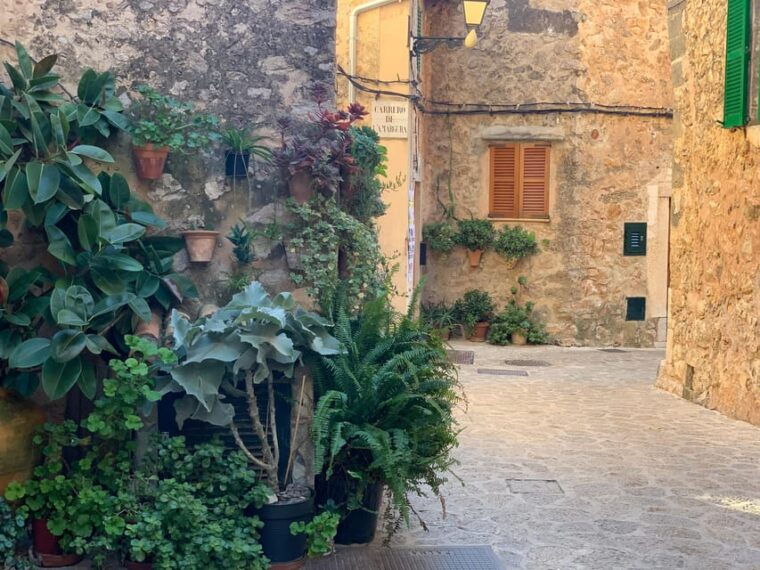 from-palma-valldemossa-tour-and-mountain-viewpoint-hike