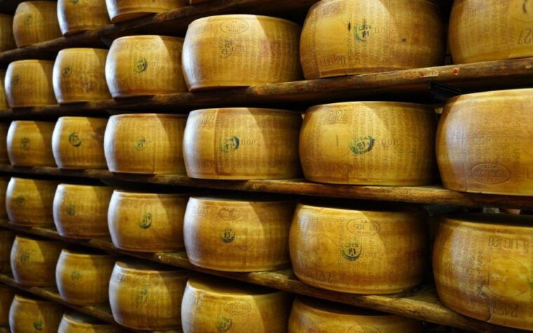 from-parma-parmigiano-and-parma-ham-guided-food-tour