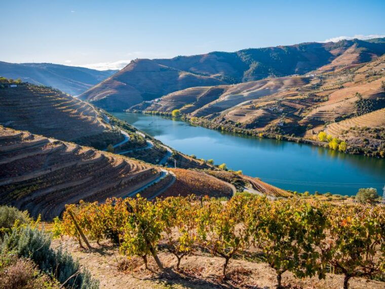 from-peso-da-regua-douro-valley-tour