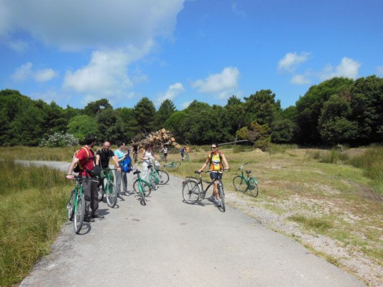 from-pisa-to-lucca-along-puccini-cycling-path