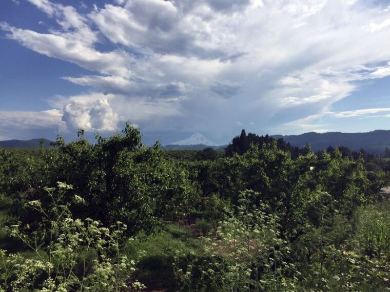 from-portland-mt-hood-hood-river-valley-and-columbia-gorge