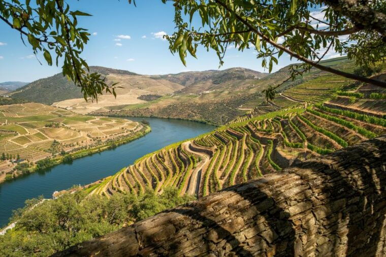 from-porto-douro-valley-tour-with-tastings-boat-lunch