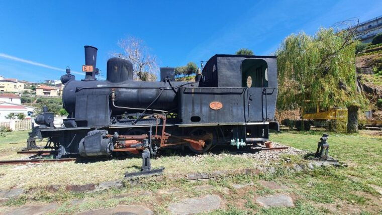 from-porto-douro-valley-tour-with-train-and-vinho-verde