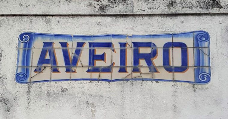 from-porto-private-tour-half-day-in-aveiro-and-costa-nova