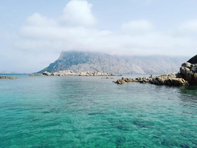 from-porto-san-paolo-4-hour-boat-tour-to-tavolara