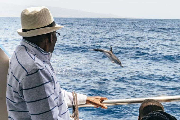 from-puerto-rico-de-gran-canaria-dolphin-watching-cruise