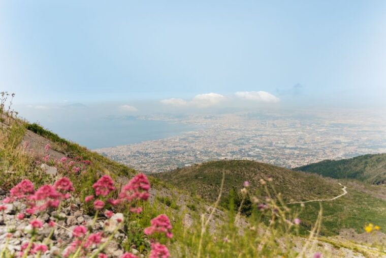from-rome-pompeii-and-mount-vesuvius-day-trip-with-lunch