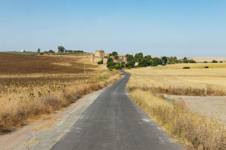 from-seville-pueblos-blancos-and-ronda-full-day-trip