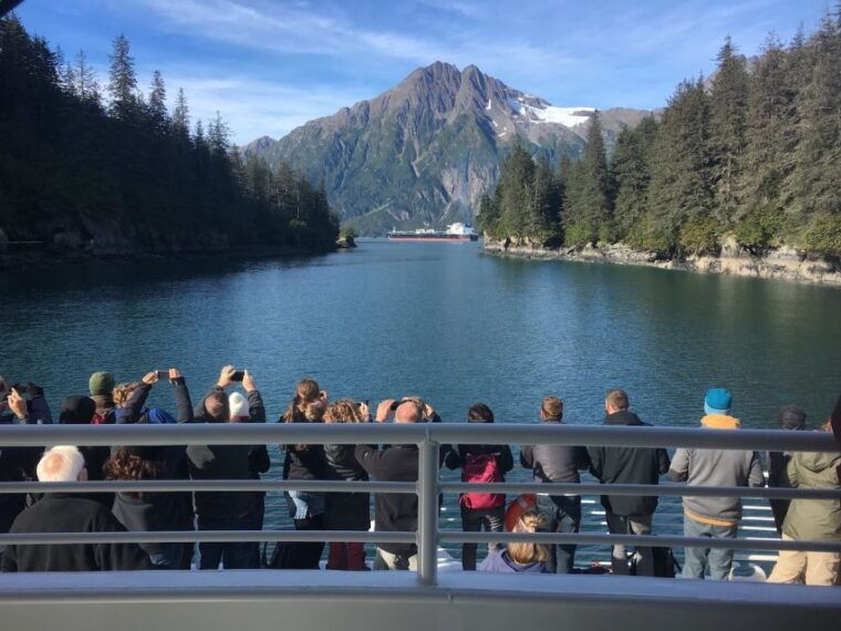 from-valdez-7-5-hour-meares-glacier-wildlife-cruise