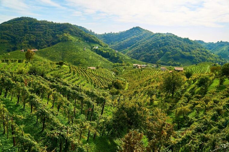 from-venice-wine-and-food-tour-in-the-prosecco-hills-2