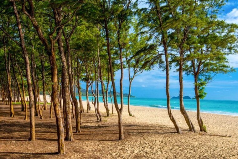 from-waikiki-best-of-oahu-photo-tour-with-pickup